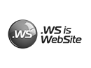 punto ws
